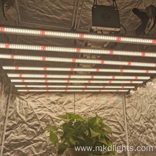 Led Grow Light 6X6 Room Setup